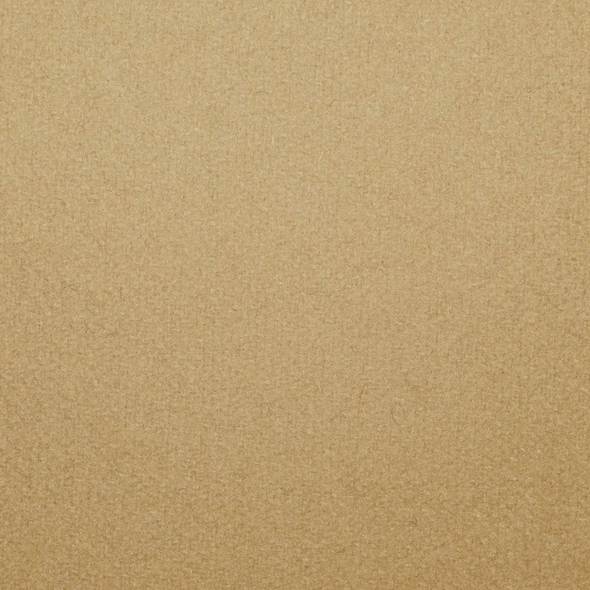 Camel Soft Finish All Wool Melton Coating