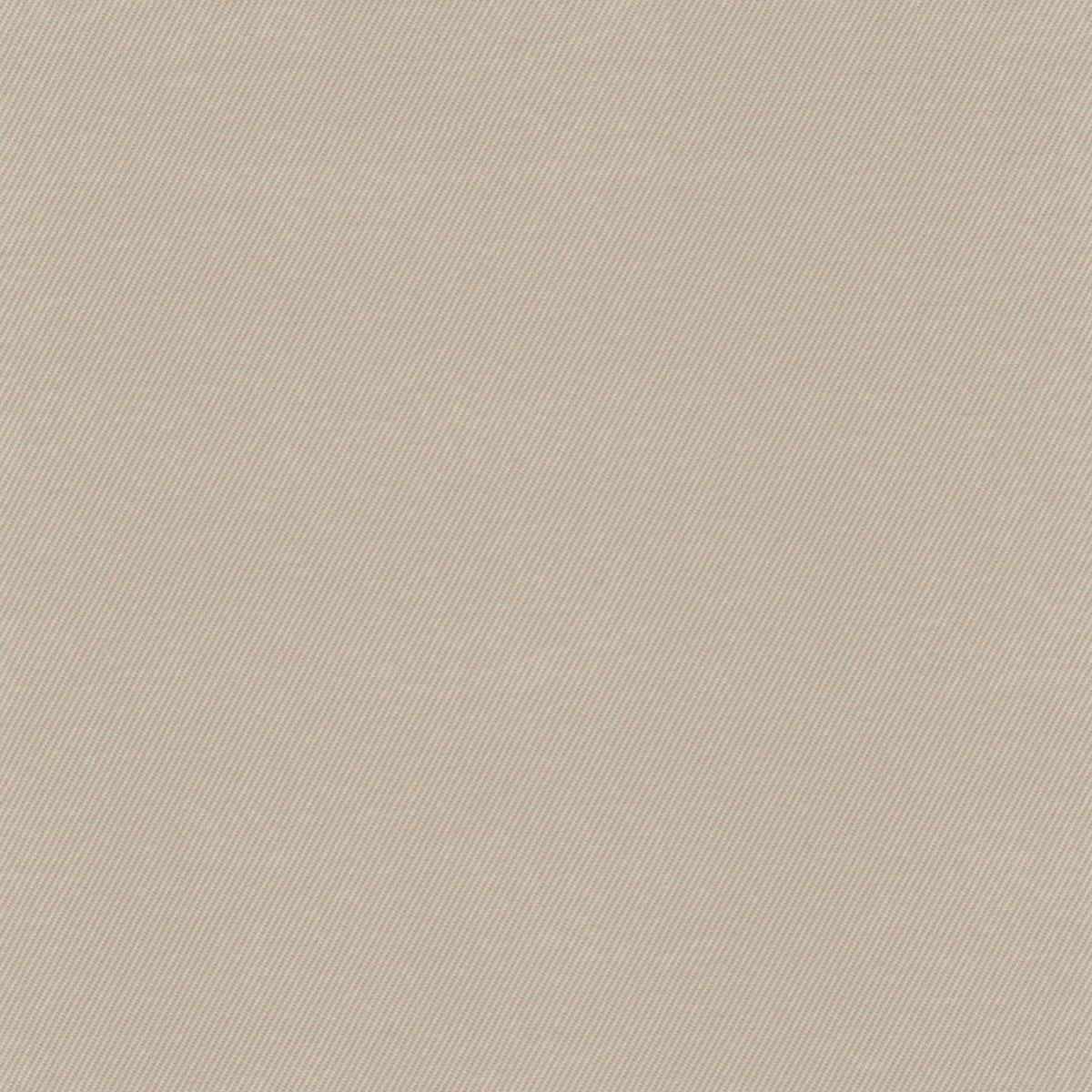 Cream Cotton Suiting