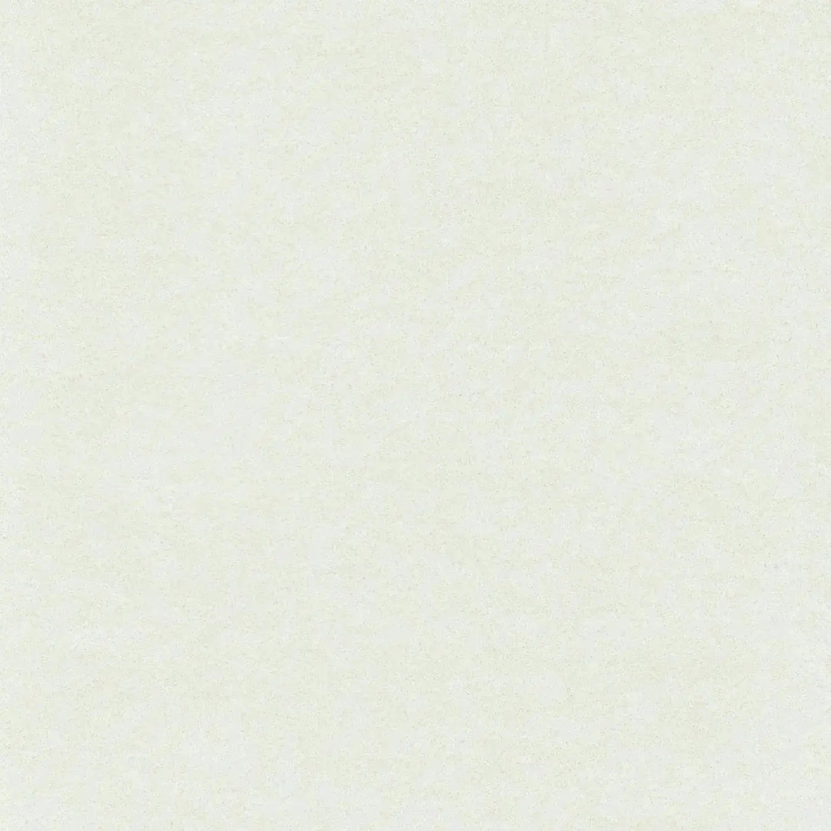 White Heavyweight Cotton Moleskin