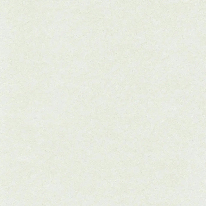 White Heavyweight Cotton Moleskin