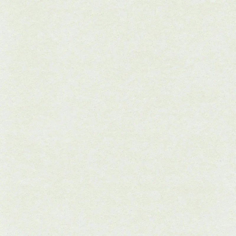 White Heavyweight Cotton Moleskin