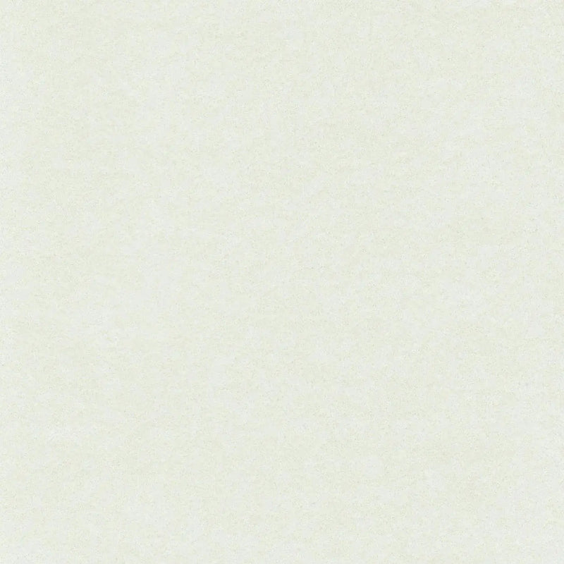 White Heavyweight Cotton Moleskin