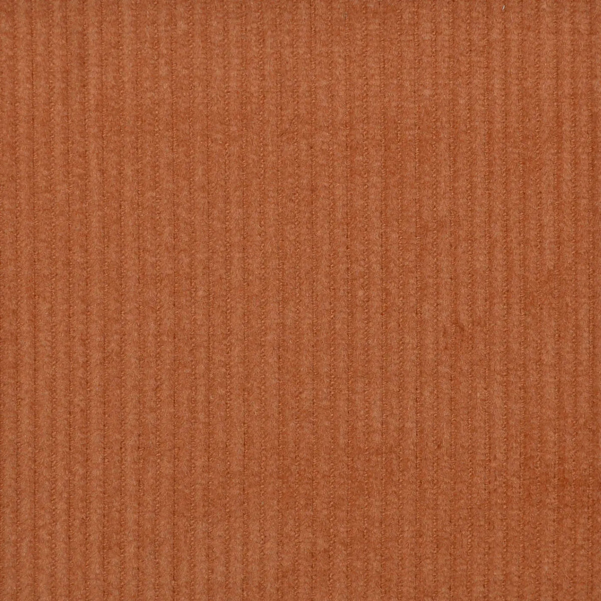 Cinnamon 14 Wale Needlecord