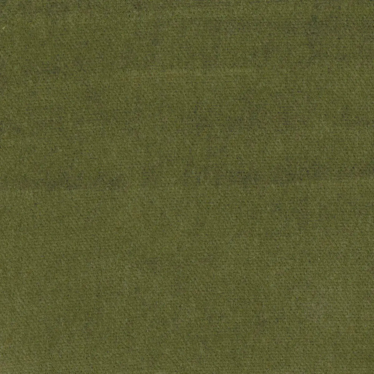 Green Luxury 100% Cotton Velvet