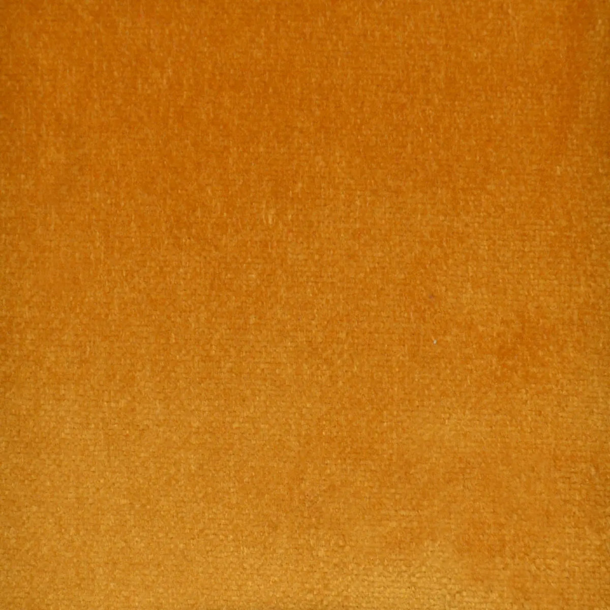 Ochre Luxury Cotton Velvet