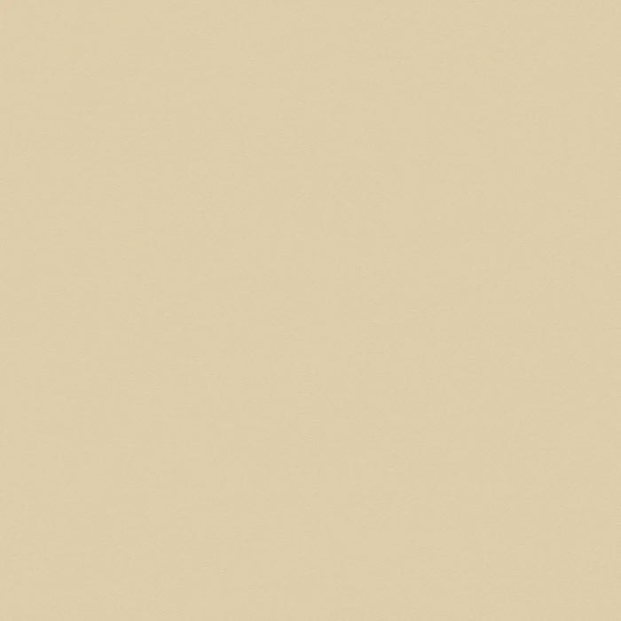 Beige Solid Serge Super 140's All Wool Suiting By Holland & Sherry