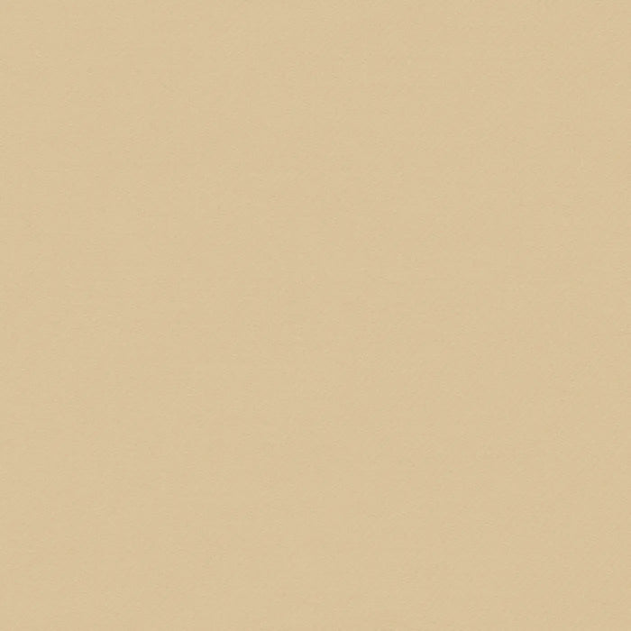 Light Fawn Solid Serge Super 140's All Wool Suiting By Holland & Sherry