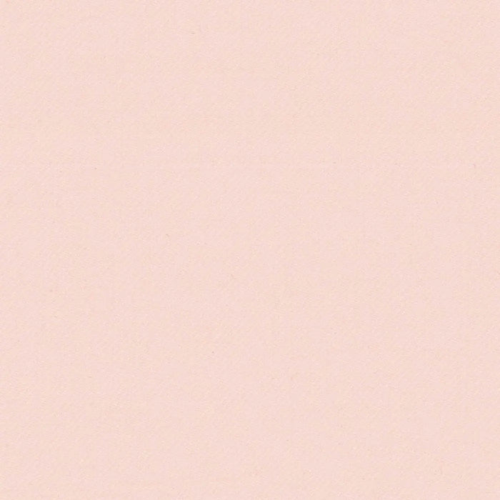 Pale Pink Solid Serge Super 140's All Wool Suiting By Holland & Sherry