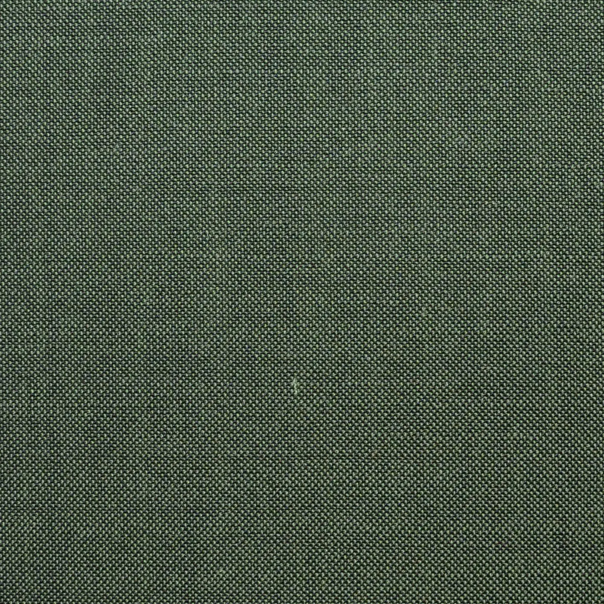 Fern Green Solid Super 100's Wool & Kid Mohair Suiting By Holland & Sherry