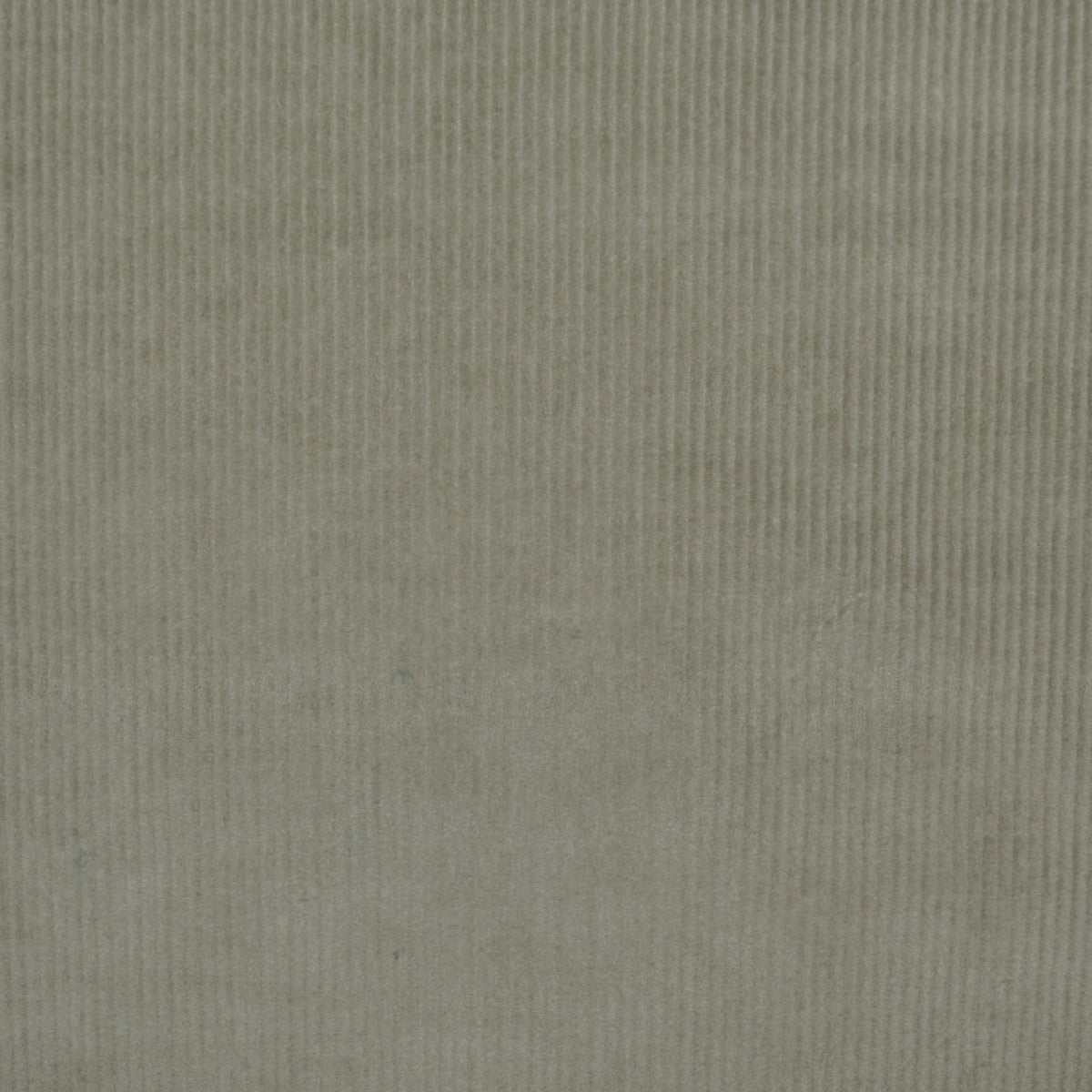 Beige 16 Wale Stretch Needlecord