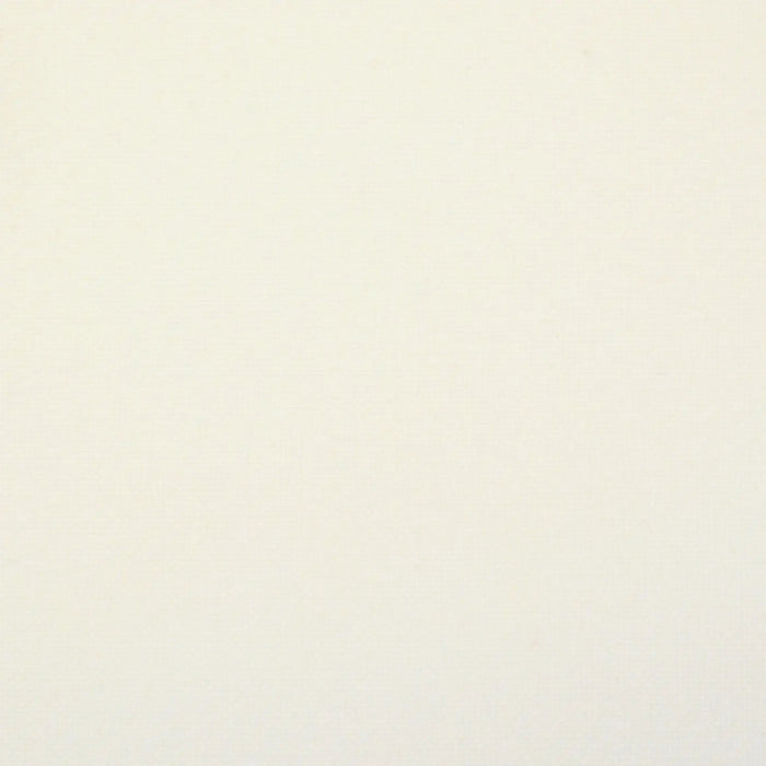 Brilliant White Plain Weave 100% Polyester Suiting