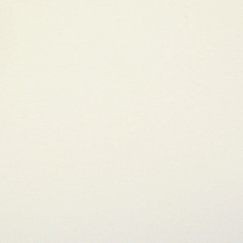 Brilliant White Plain Weave 100% Polyester Suiting
