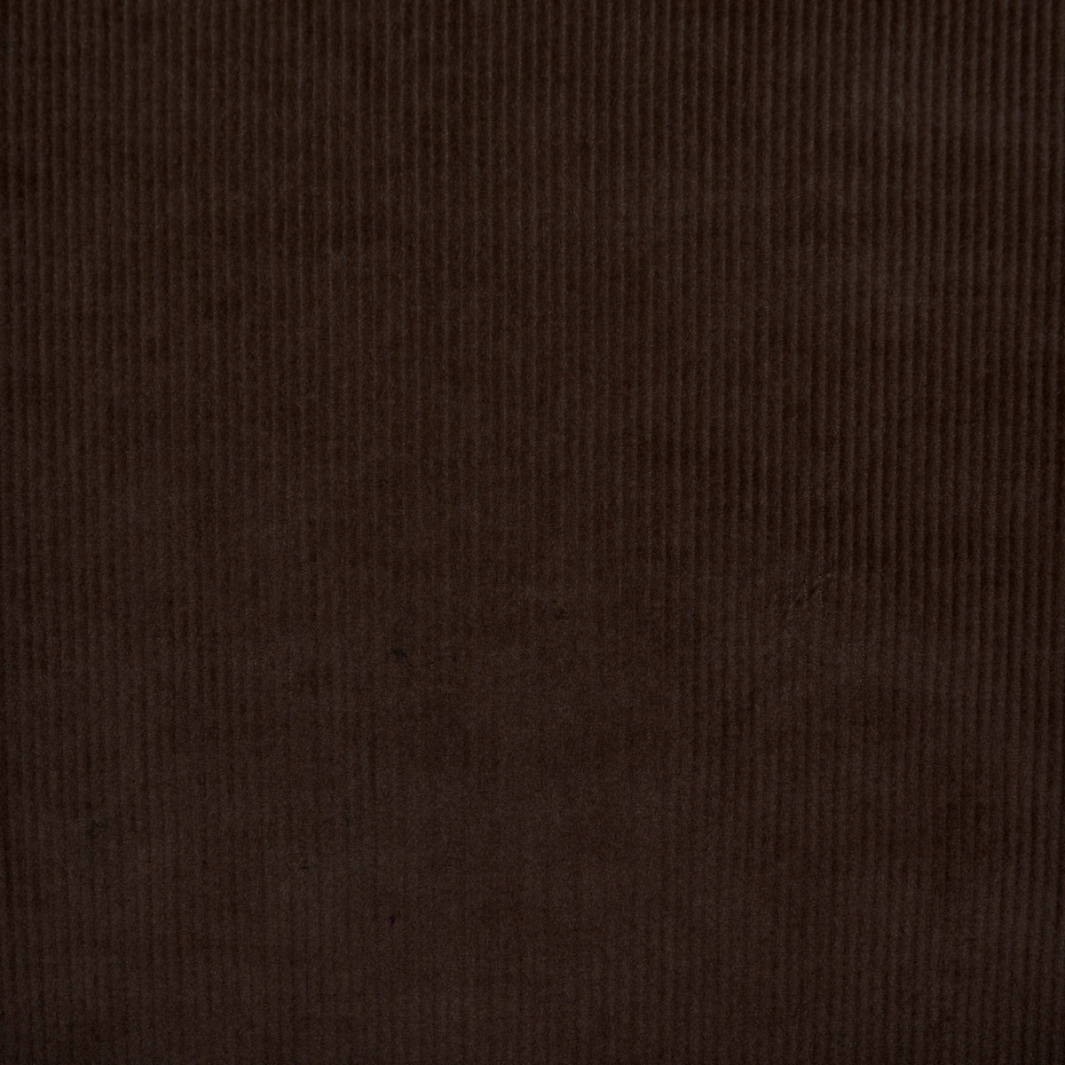 Dark Brown 16 Wale Stretch Needlecord
