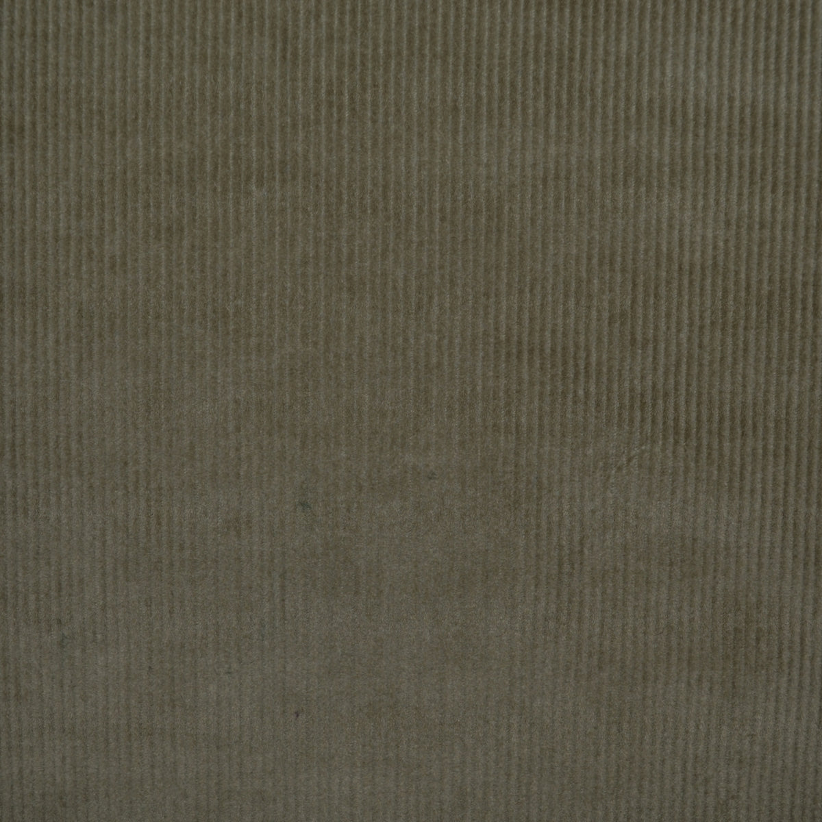 Light Brown 16 Wale Stretch Needlecord