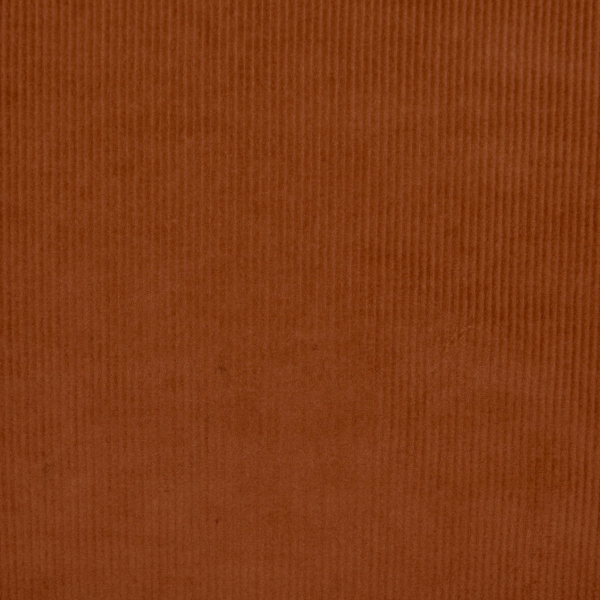 Rust 16 Wale Stretch Needlecord