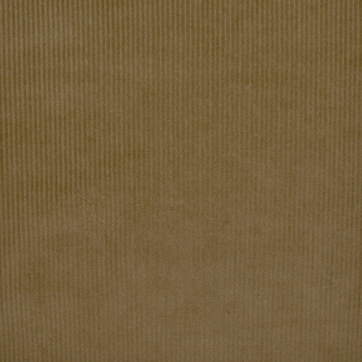 Sand 16 Wale Stretch Needlecord