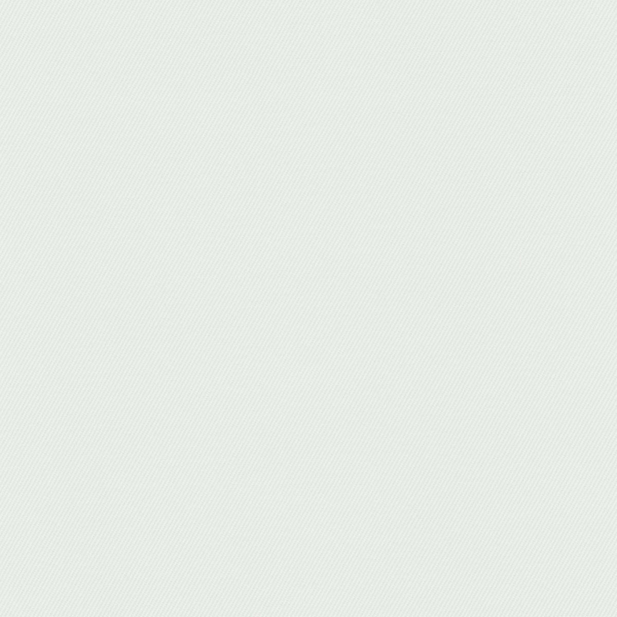 White Soft Brushed Cotton Suiting