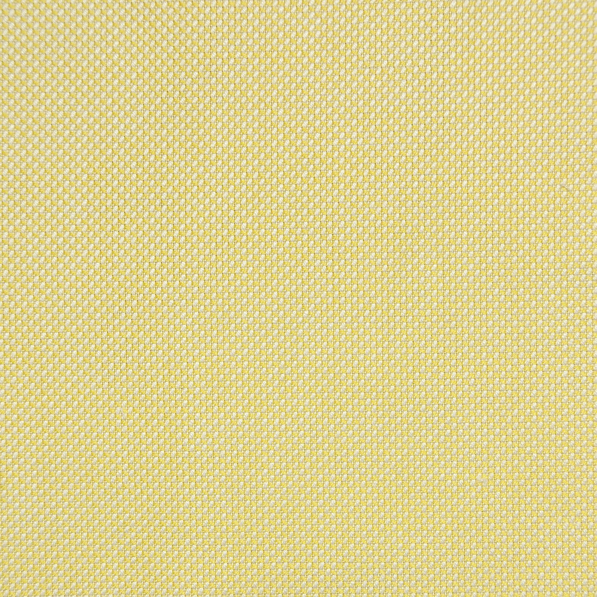 Yellow Oxford Cotton Shirting