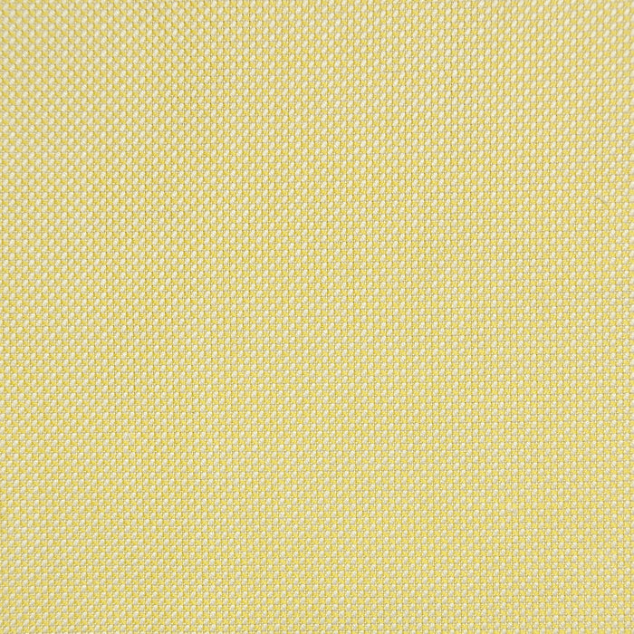 Yellow Oxford Cotton Shirting