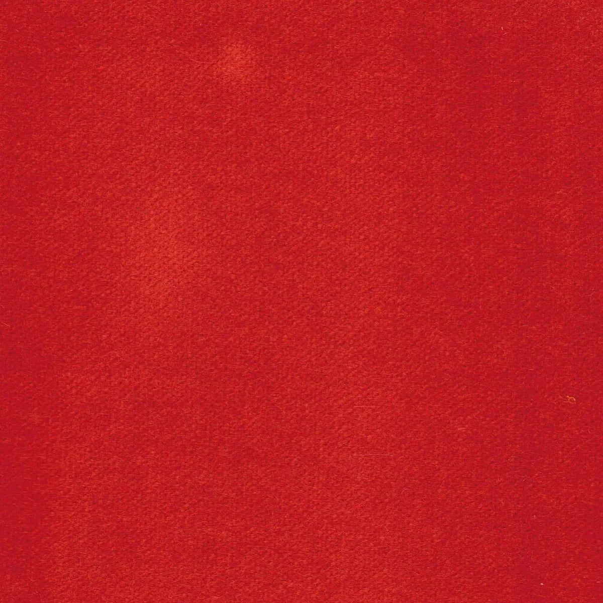 Orange Cotton Velvet