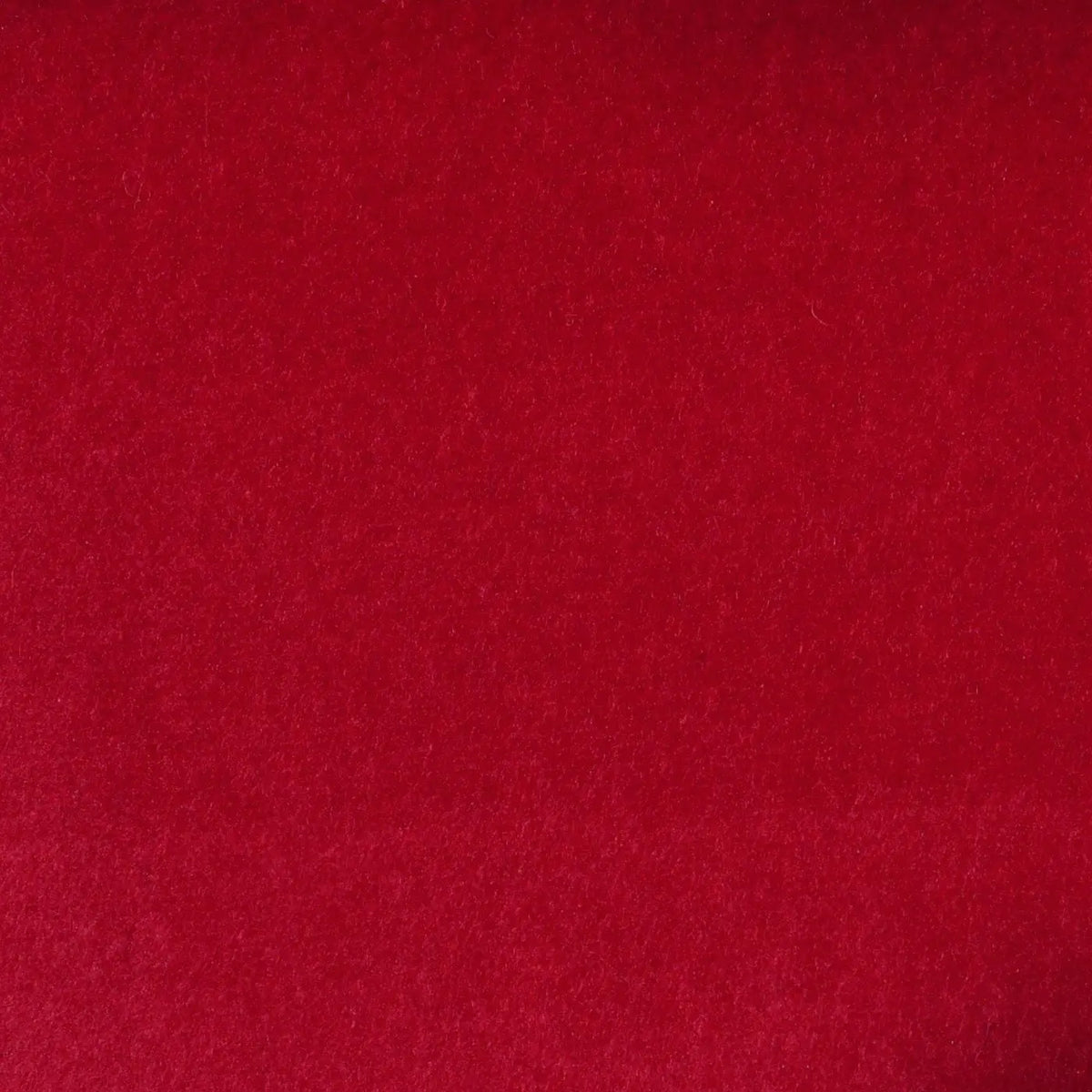 Ruby Red Cotton Velvet