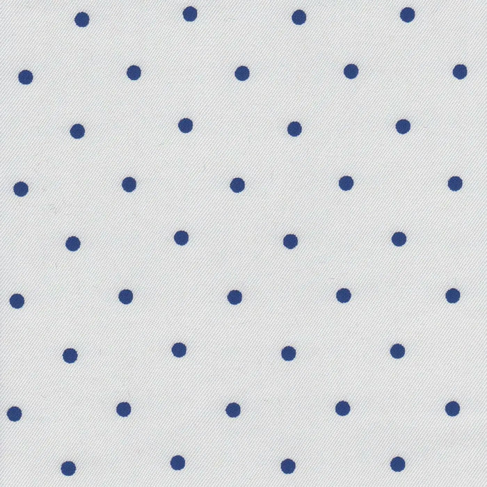 White with Blue Spot Lining