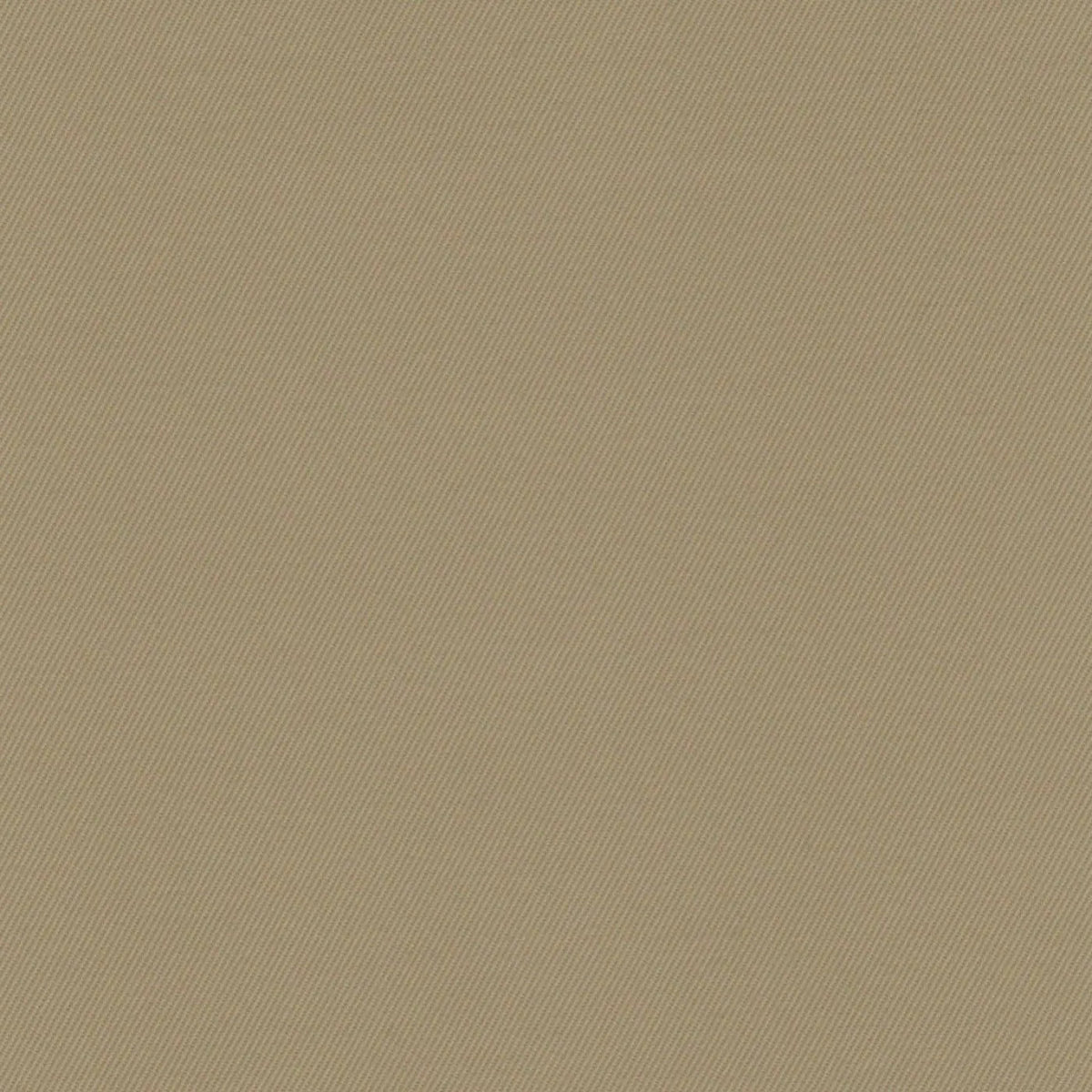 Putty Cotton Suiting
