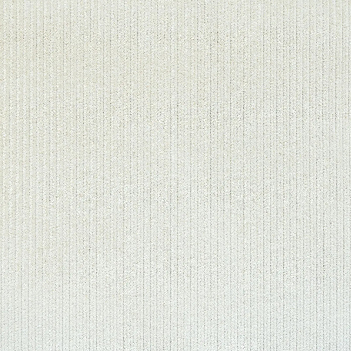 White 12 Wale Corduroy