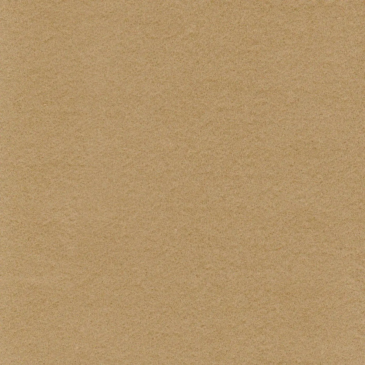Camel Lightweight Cotton Moleskin