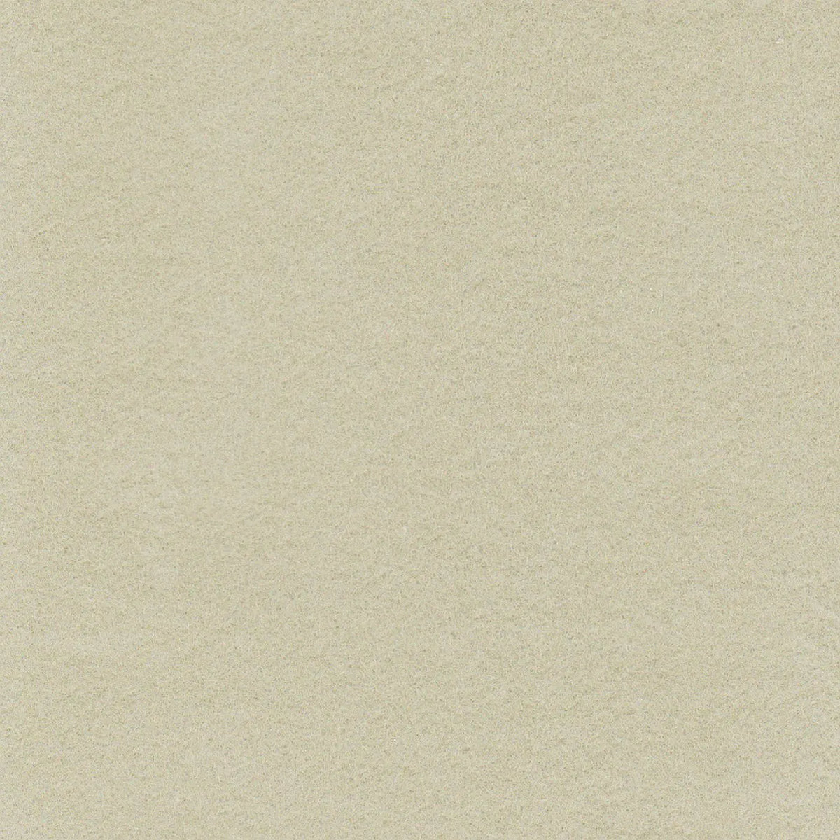 Cream Midweight Cotton Moleskin