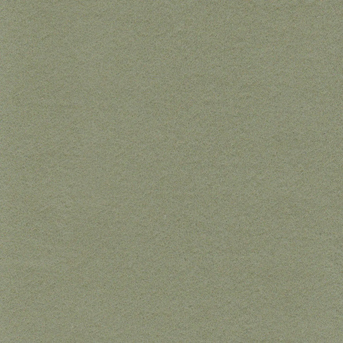 Lovat Midweight Cotton Moleskin