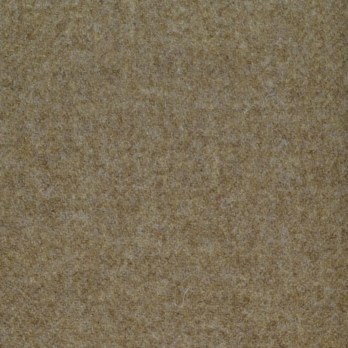 Sand All Wool Tweed Coating