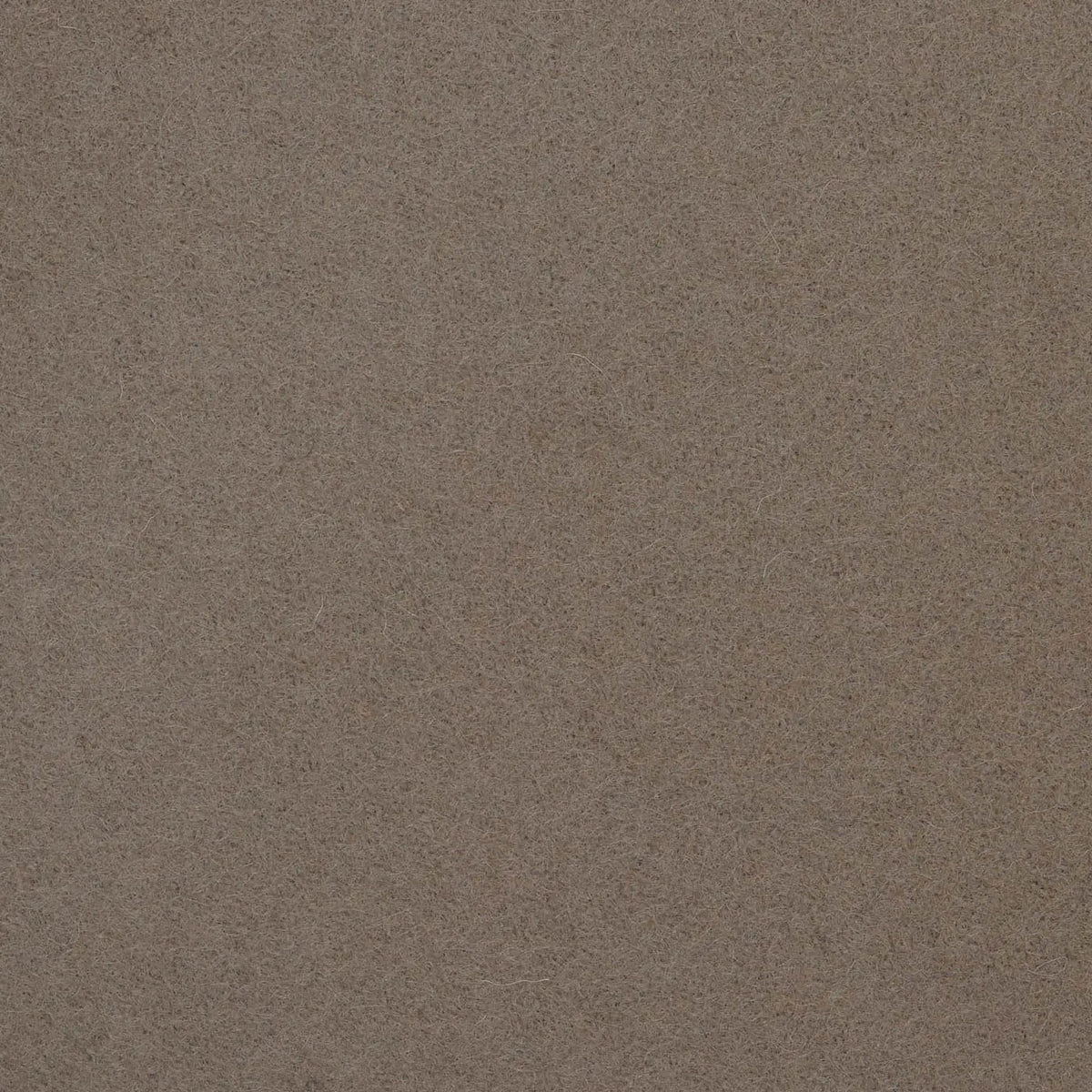Hazel Melton Wool Coating