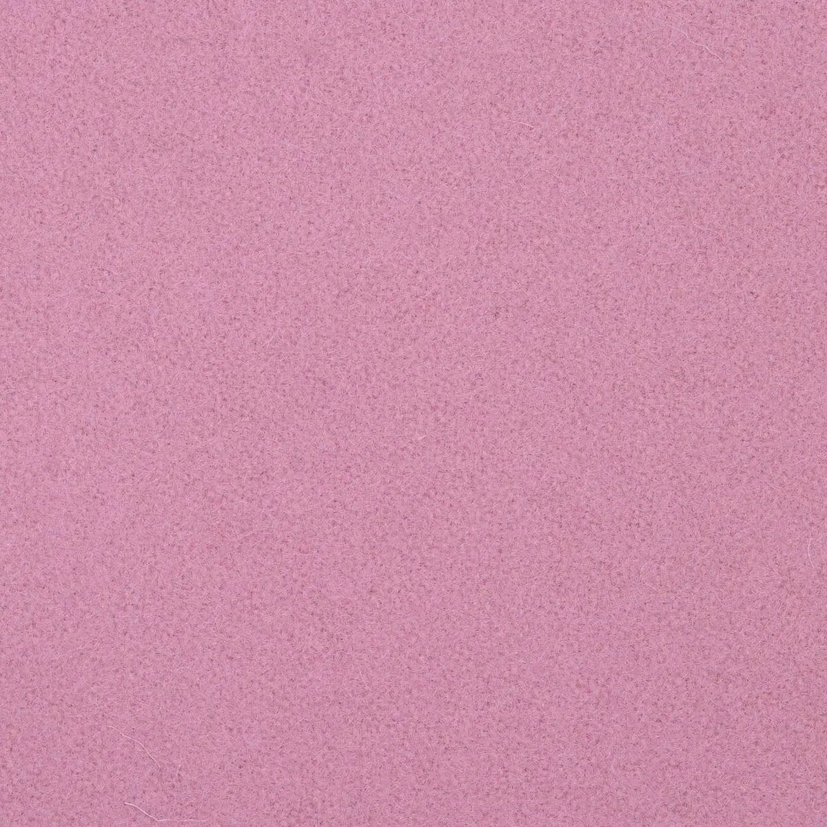 Pink Melton Wool Coating