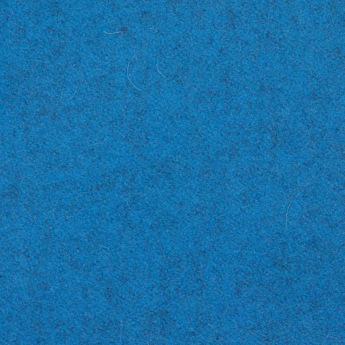 Caribbean Blue Melton Wool Coating