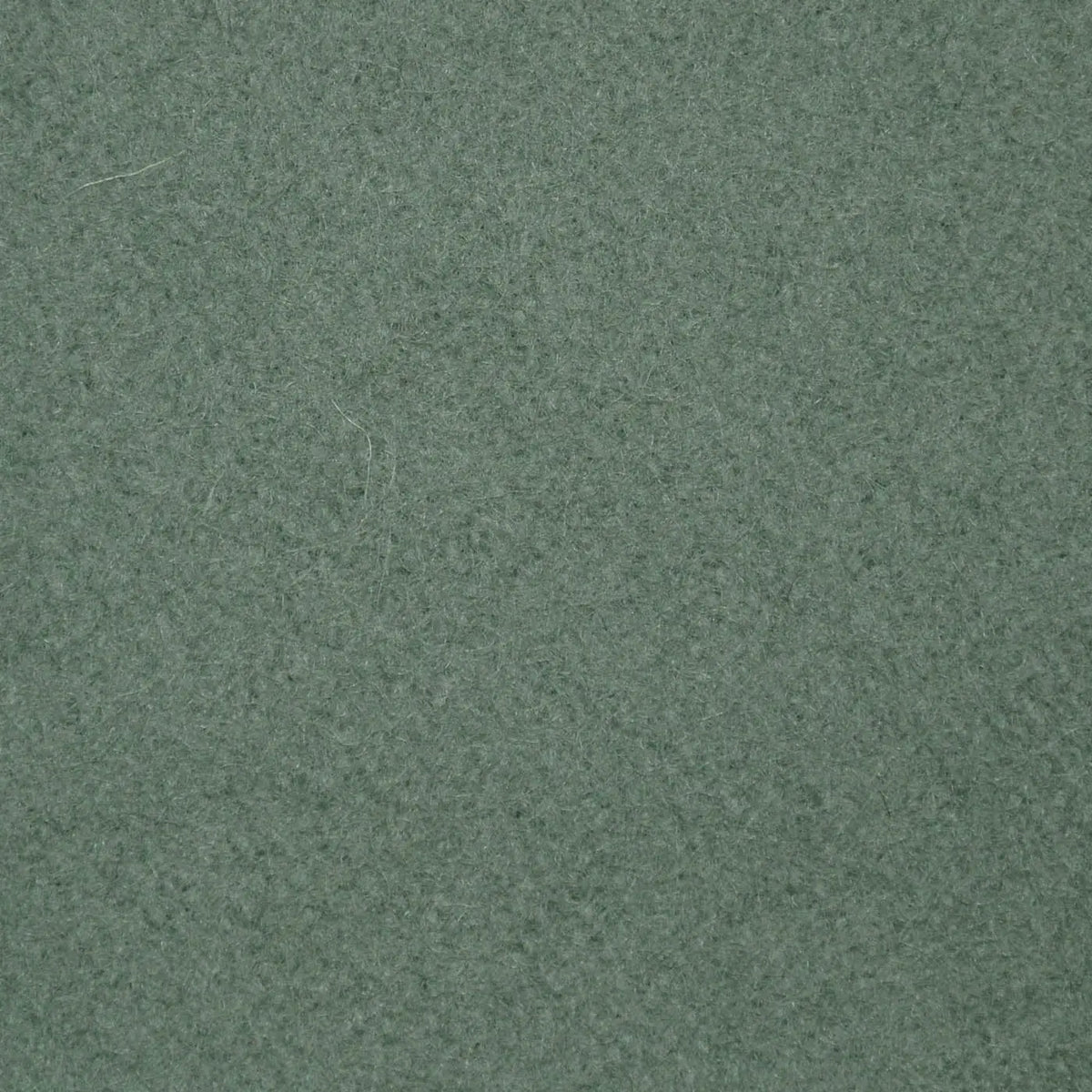 Eucalyptus Green Melton Wool Coating