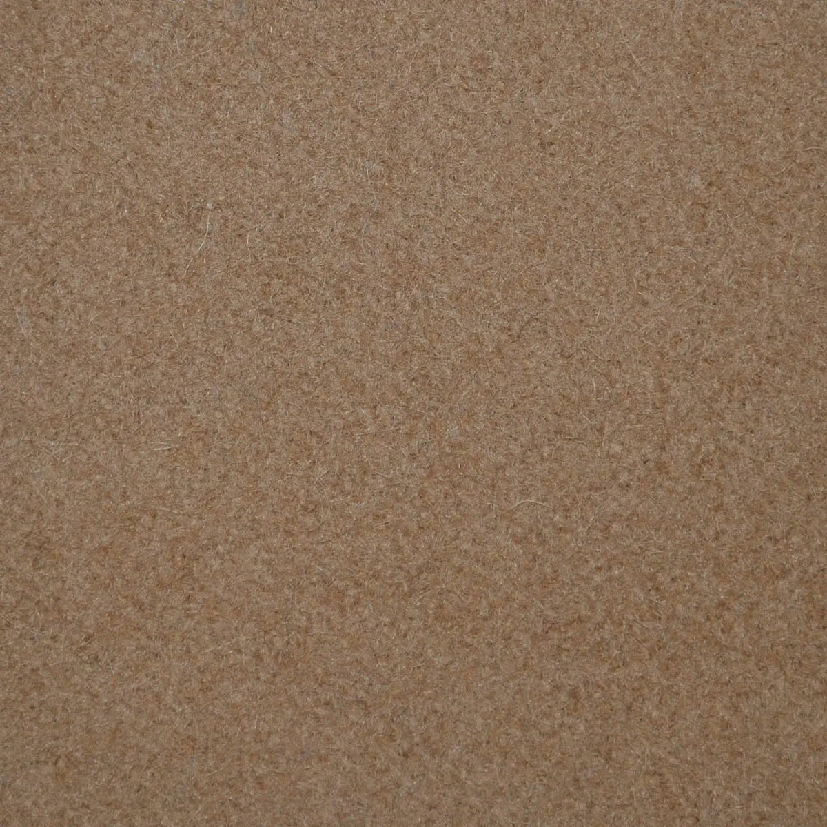 Camel Melton Wool Coating