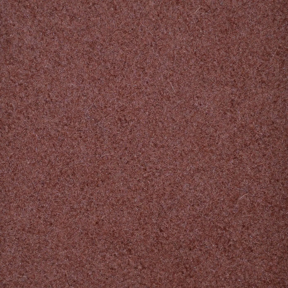 Cinnamon Melton Wool Coating