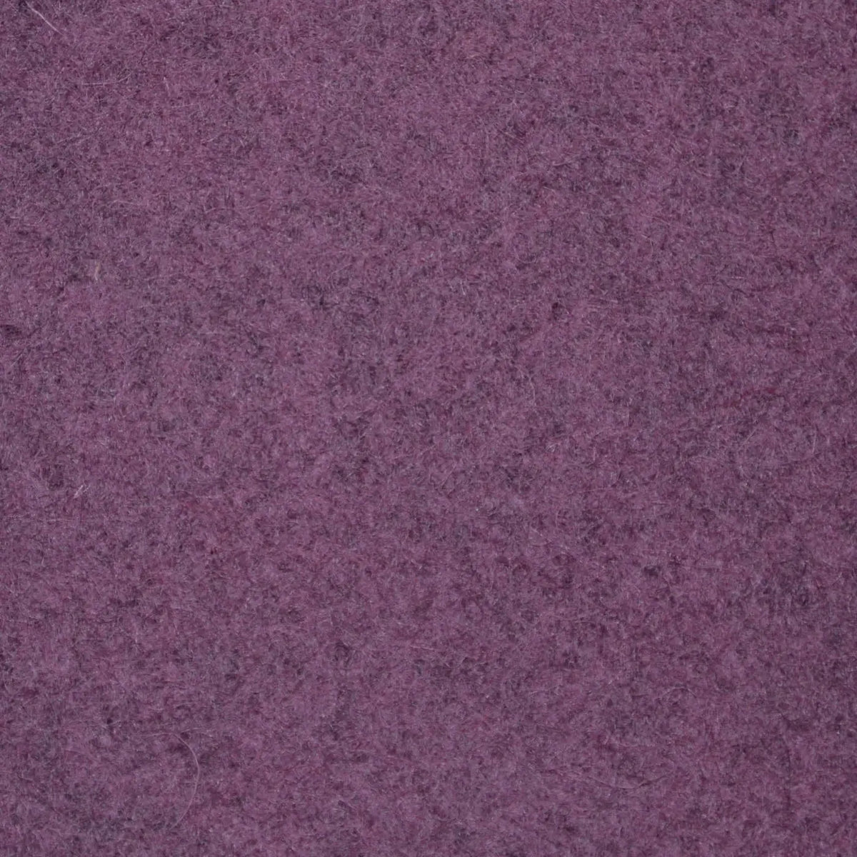 Mauve Melton Wool Coating