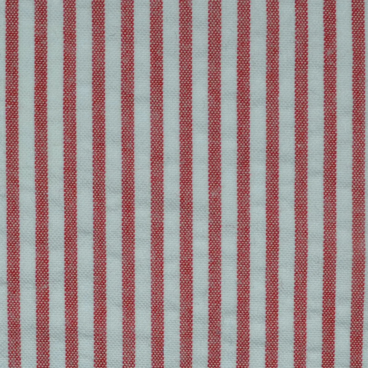 Red and White Cotton Seersucker Jacketing