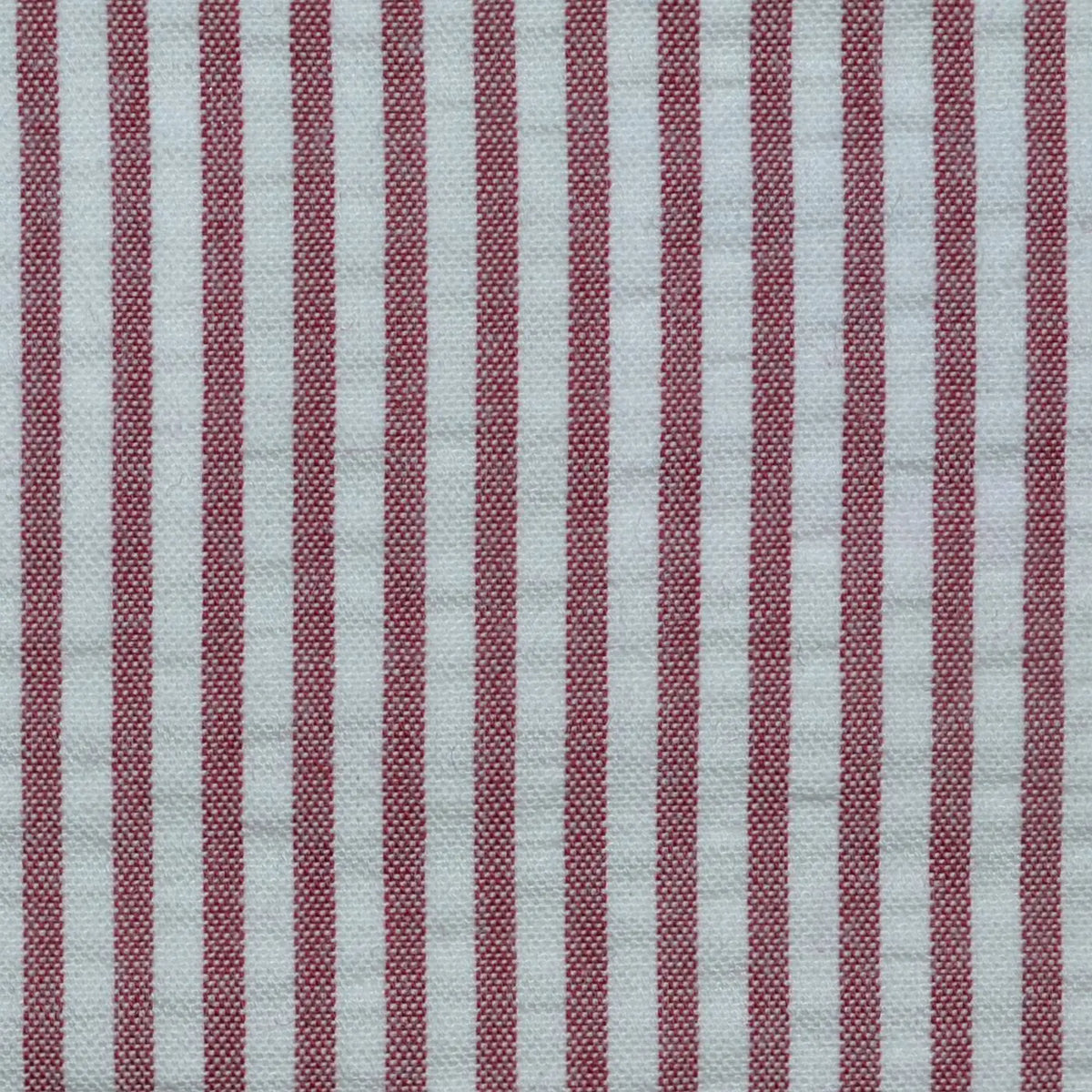 Wine and White Cotton Seersucker Jacketing