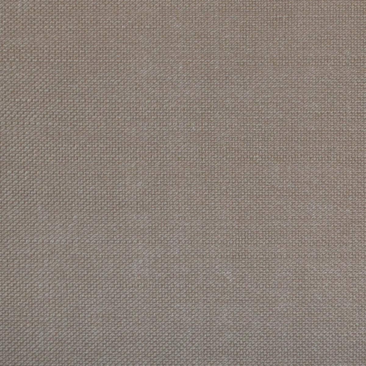 Sand Wool & Kid Mohair Suiting